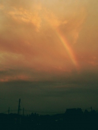 虹が綺麗に見えました(´∀｀*)