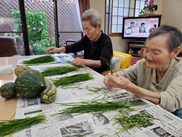 我が家の庭で収穫