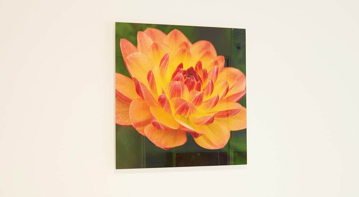 イメージ:まるで美術館のような安らぎの空間