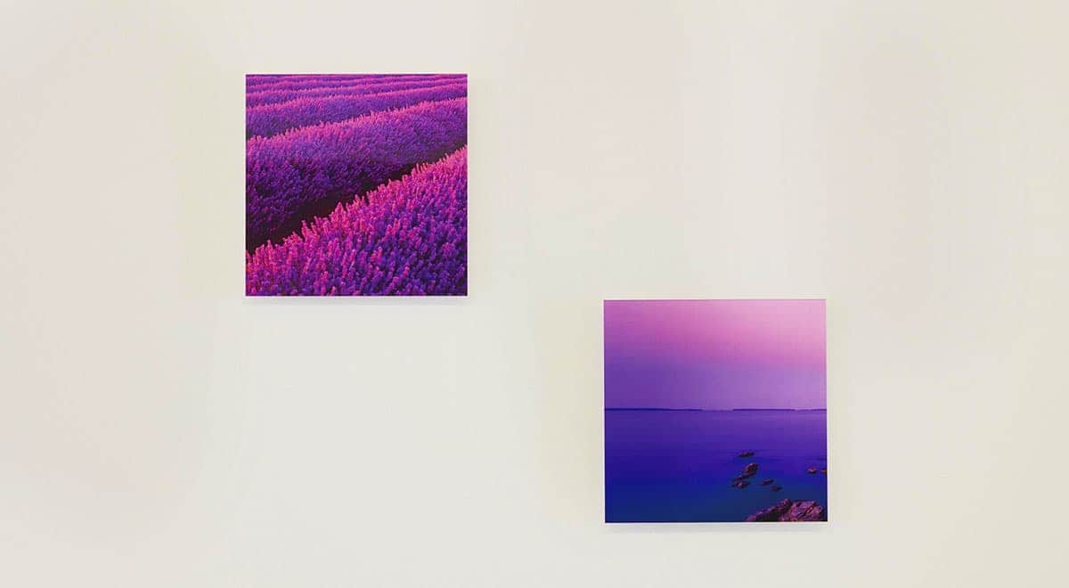 イメージ:まるで美術館のような安らぎの空間