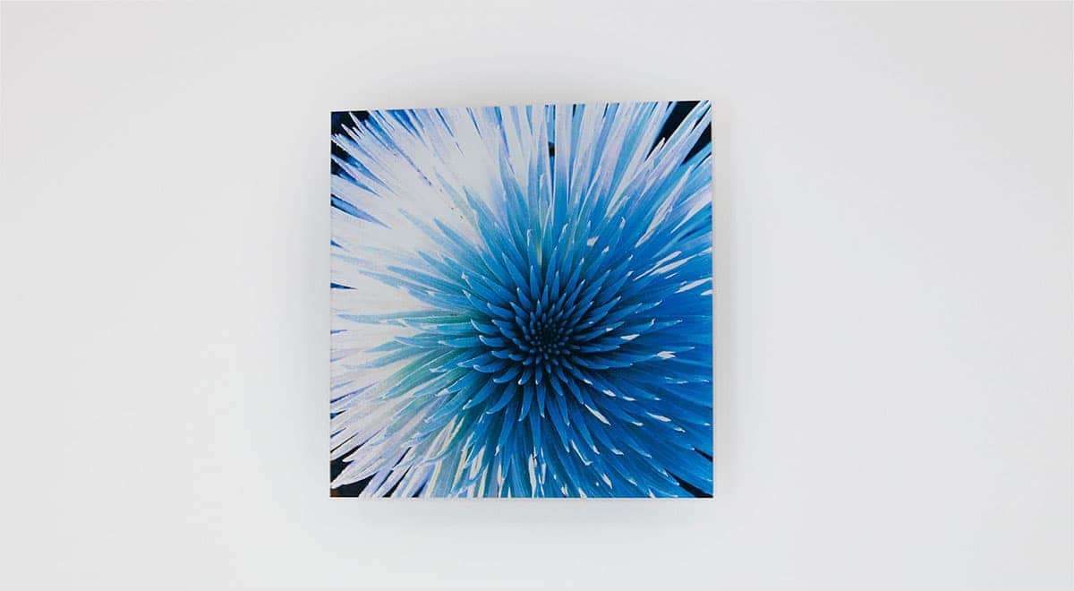 イメージ:まるで美術館のような安らぎの空間