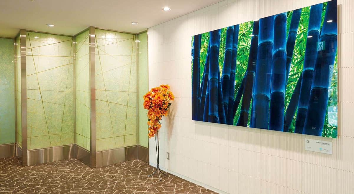 イメージ:まるで美術館のような安らぎの空間